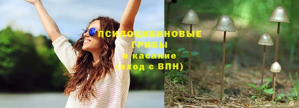 гашик Бронницы
