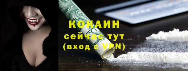 прущие грибы Беломорск