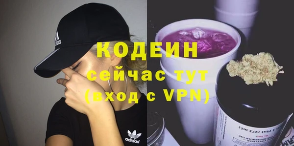 эйфоретик Бородино